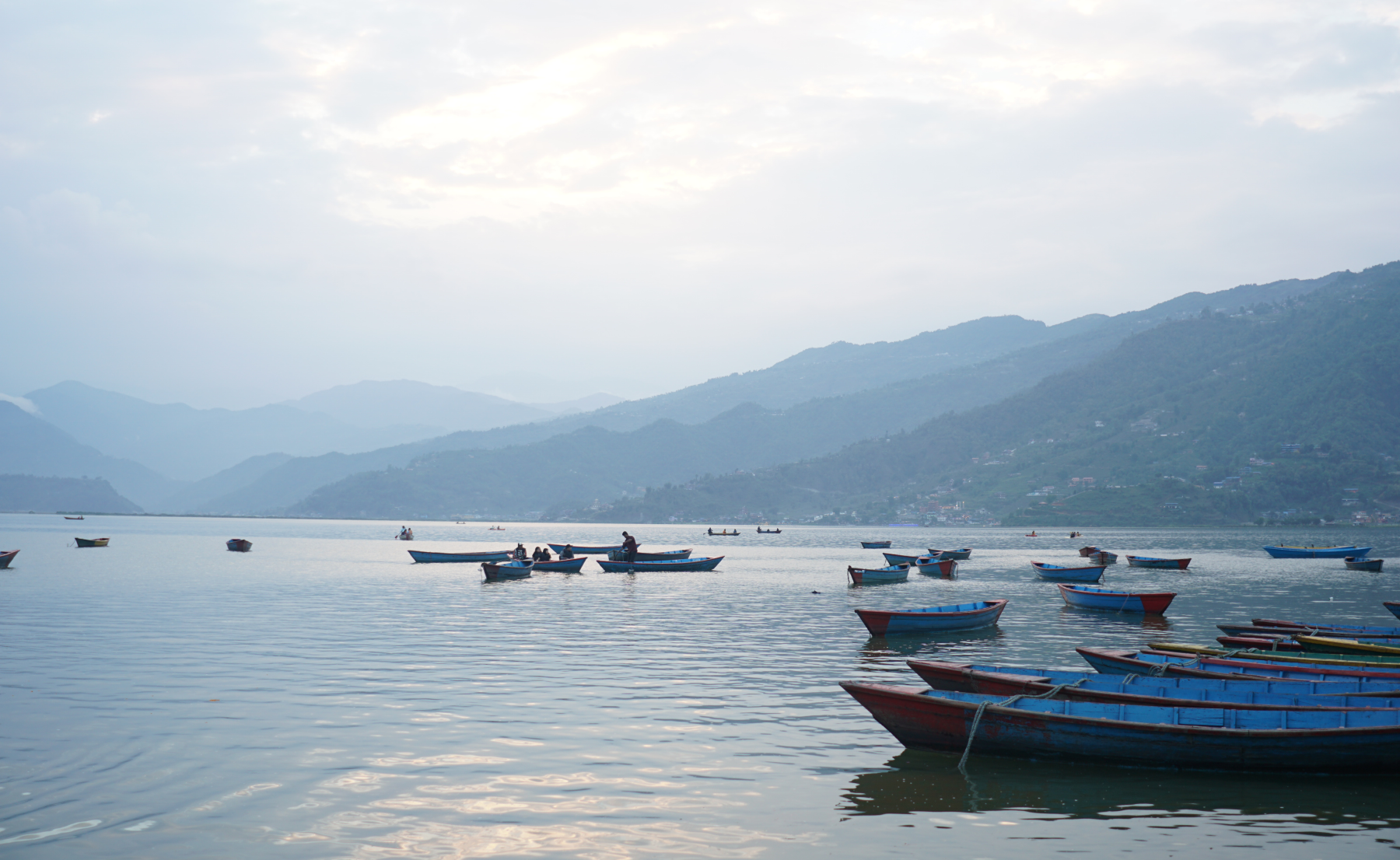 phewa lake.png